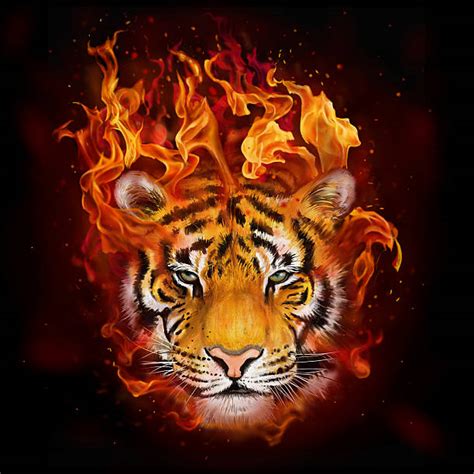 Fire Tiger Wallpaper Hd