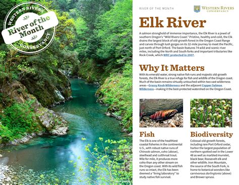 Elk River - Western Rivers Conservancy