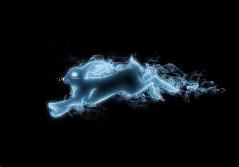 Rabbit Patronus by Tribalchick101 on DeviantArt | Harry potter patronus, Patronus, Harry potter ...