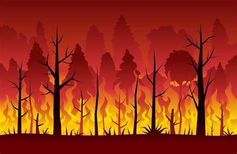 Premium Vector | Wildfire, Forest Fire, Background