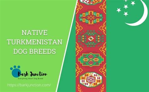 Native Turkmenistan dog breeds | All dogs of Turkmenistan | Dog breeds ...