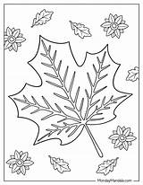 20 Fall Leaves Coloring Pages Free PDF Printables sketch template
