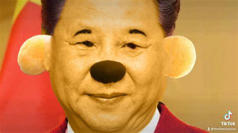 Xi Jinping Winnie the Pooh