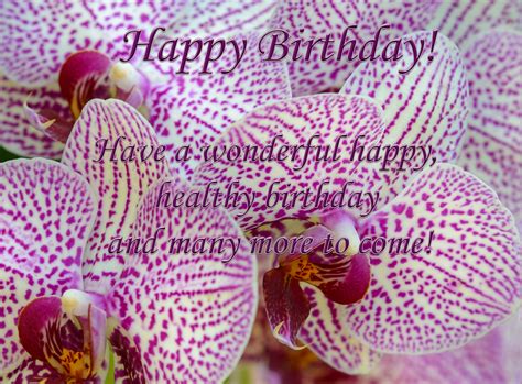 Happy Birthday Card with Orchids | Gallery Yopriceville - High-Quality ...