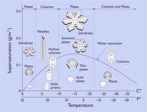 How snowflakes get their shapes | Earth | EarthSky