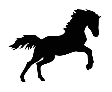 Horse Vector SVG and PNG Digital Download Horse Vector Graphic Digital ...