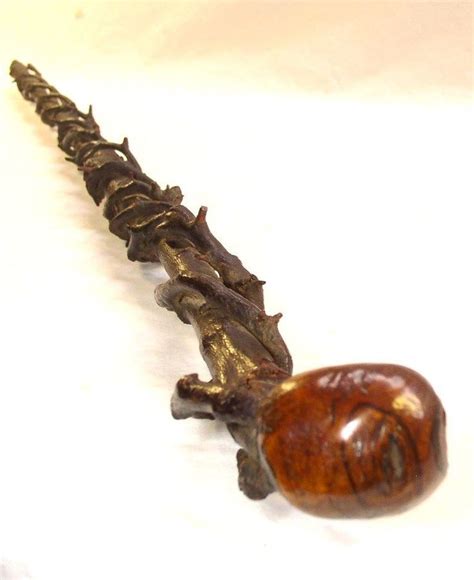 Victorian Irish Blackthorn Twisted Branches Shillelagh Cane Walking Stick | eBay | Walking ...