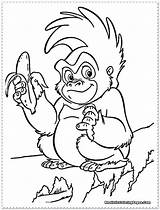 Baby Jungle Animals Coloring Pages At GetColoringscom  Free Printable sketch template