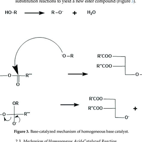 Acid-catalyzed mechanism of homogeneous acid catalyst. | Download ...