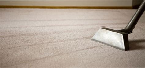 Quality Deep Cleaning Services For The Tampa Area - Carpet, Upholstery ...