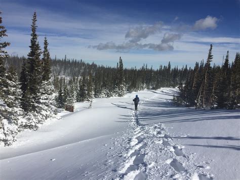 Road Trail Run: Dion 121 Race Snowshoes Review - The Ultimate in Quality, Speed and Versatility