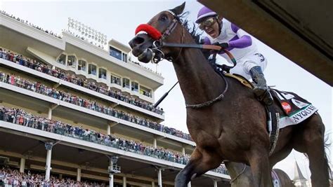 Nyquist captures Kentucky Derby to remain undefeated | CBC Sports