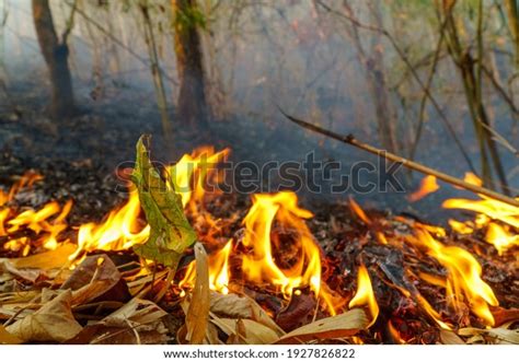 81,451 Fire Natural Disasters Images, Stock Photos & Vectors | Shutterstock