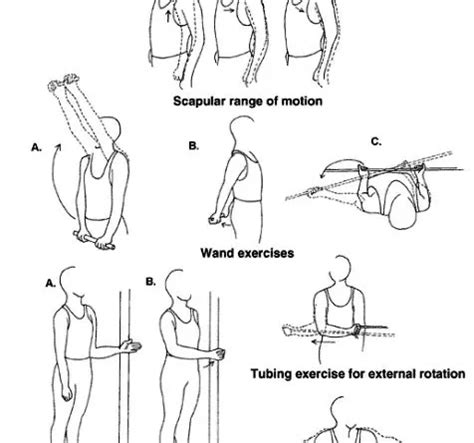 rotator cuff exercises dumbbell Archives - SAMARPAN PHYSIOTHERAPY ...