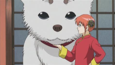 Gintama Season 1 (Eps 1-49) Eat Something Sour When You’re Tired - Watch on Crunchyroll