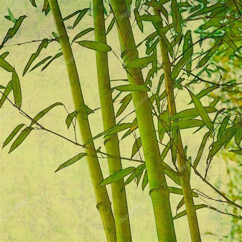 Zen bamboo abstract textured background — Stock Photo © wordplanet #37599127