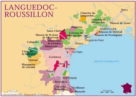 Wine Region: Languedoc-Roussillon - Briscoe Bites