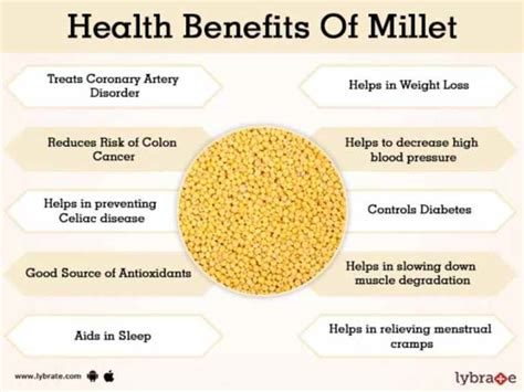 Millets and Date Pudding/Kheer (sugar-free) – Plant Based Los Angeles