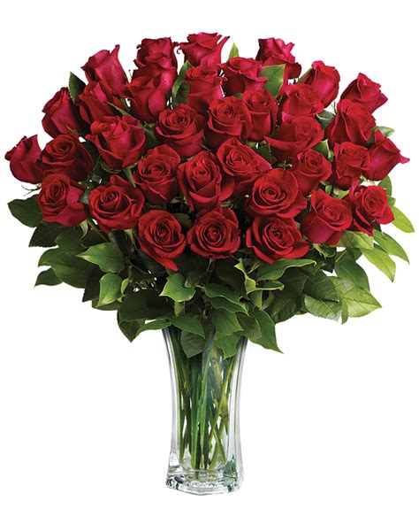 Send a Three Dozen Roses - Love and Devotion today!