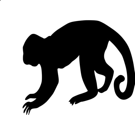 Vector silhouette of monkey on white background 22958506 Vector Art at Vecteezy