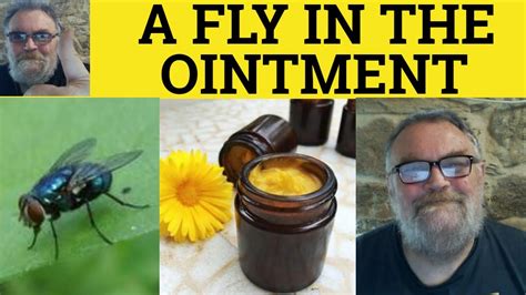 🔵 Fly in the Ointment Meaning - Fly In The ointment Examples - Fly In The Ointment Definition ...