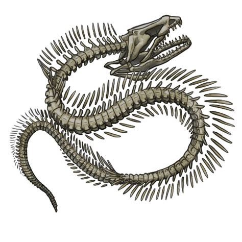 Eel Skeleton by VishulGuardian on DeviantArt