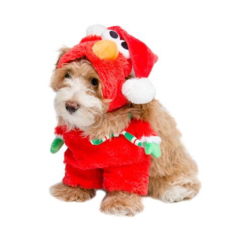 Say hello to Sesame Street's Santa Elmo Dog Costume. Remember Tickle-Me-Elmo when you were a kid ...