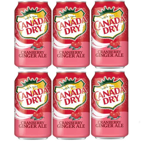 Buy Canada Dry Cranberry Ginger Ale, 12oz Cans, Pack of 6 Online at desertcartUAE