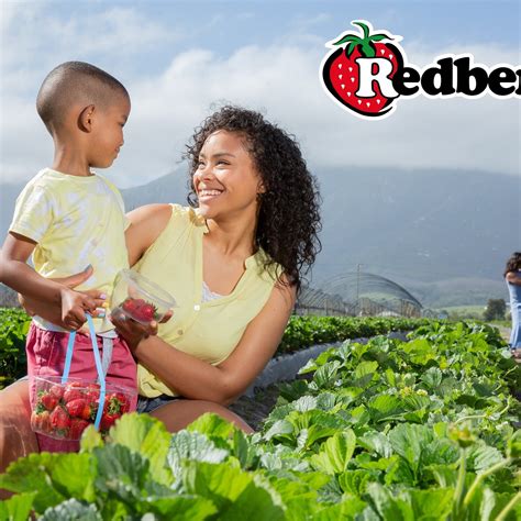 Redberry Farm - Qué SABER antes de ir (ACTUALIZADO 2024) - Tripadvisor