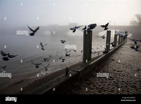 Putney Bridge, London Stock Photo - Alamy