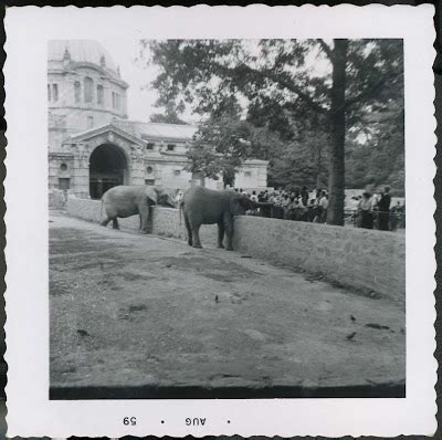 The Circus "NO SPIN ZONE": Bronx Zoo Elephant House