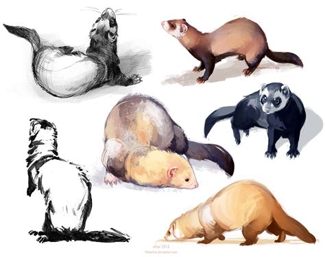 ferretdump by littleulvar.deviantart.com on @deviantART | Animal drawings, Animal art, Cute ferrets