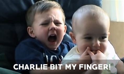 Charlie bit my finger : #Domains of meme that no-one heard about :DomainGang