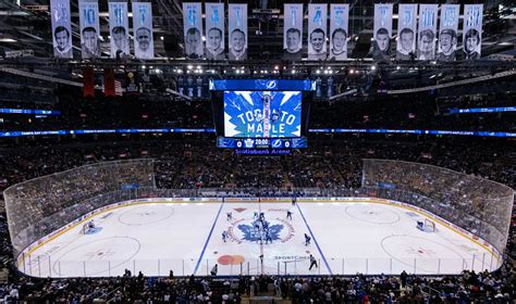 Toronto Maple Leafs - Stadium Dude