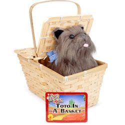 Toto in a Basket from birthdayinabox.com | Theme baskets, Basket, Wizard of oz