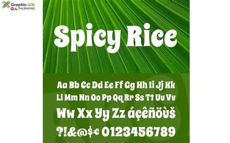 Spicy Rice Font – GraphicUX