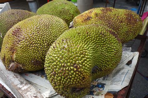 Jackfruit, also known as jack tree | Stock image | Colourbox