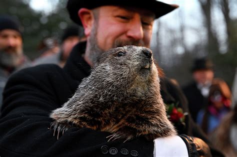 Why were groundhogs picked to predict the weather?