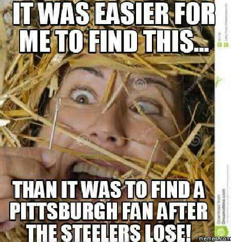 Steelers Meme, Pittsburgh Steelers, Dallas Cowboys, Nfl Memes, Football ...