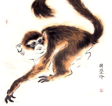 Chinese Monkey Painting 0 4374017, 50cm x 50cm(19〃 x 19〃)