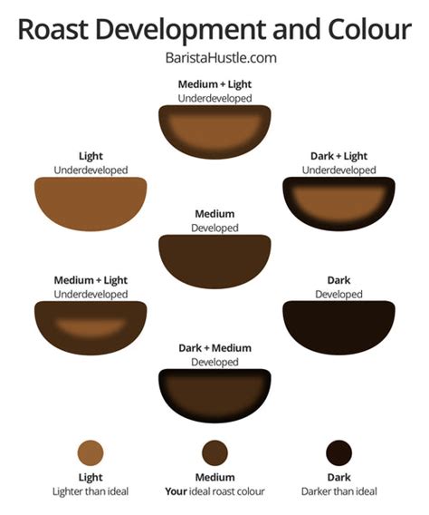 coffee roast chart