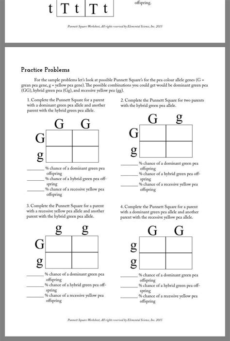 Genotype And Phenotype Practice