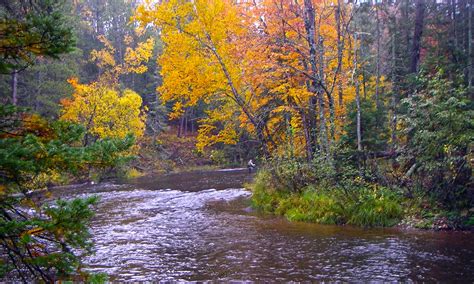 Bois Brule River - https://flyfishingwisconsin.com