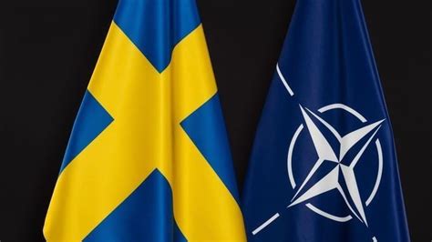 Sweden says NATO membership talks with Türkiye 'going well'