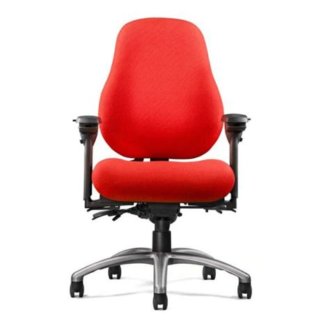 Neutral Posture 8000 Series Ergonomic Office Chair | lupon.gov.ph