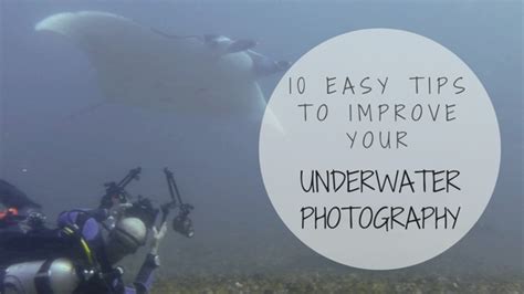 10 Easy Tips to Improve your Underwater Photography - More Fun Diving