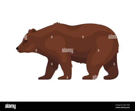 Grizzly bear side view. Isolated on white background. Vector flat ...