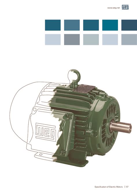 WEG. Specification of electric motors.