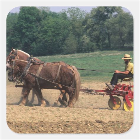 Amish Country simple people in farming with Square Sticker | Zazzle