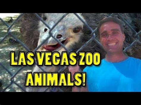 Zoo Animals in Las Vegas ! || Konas Vlog || Konas2002 - YouTube